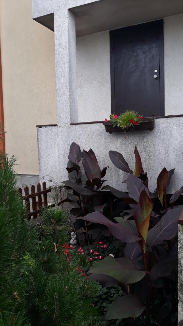 Sauliaus Apartamentai Panevėžys Eksteriør billede